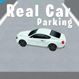 Real Car Parking 3D